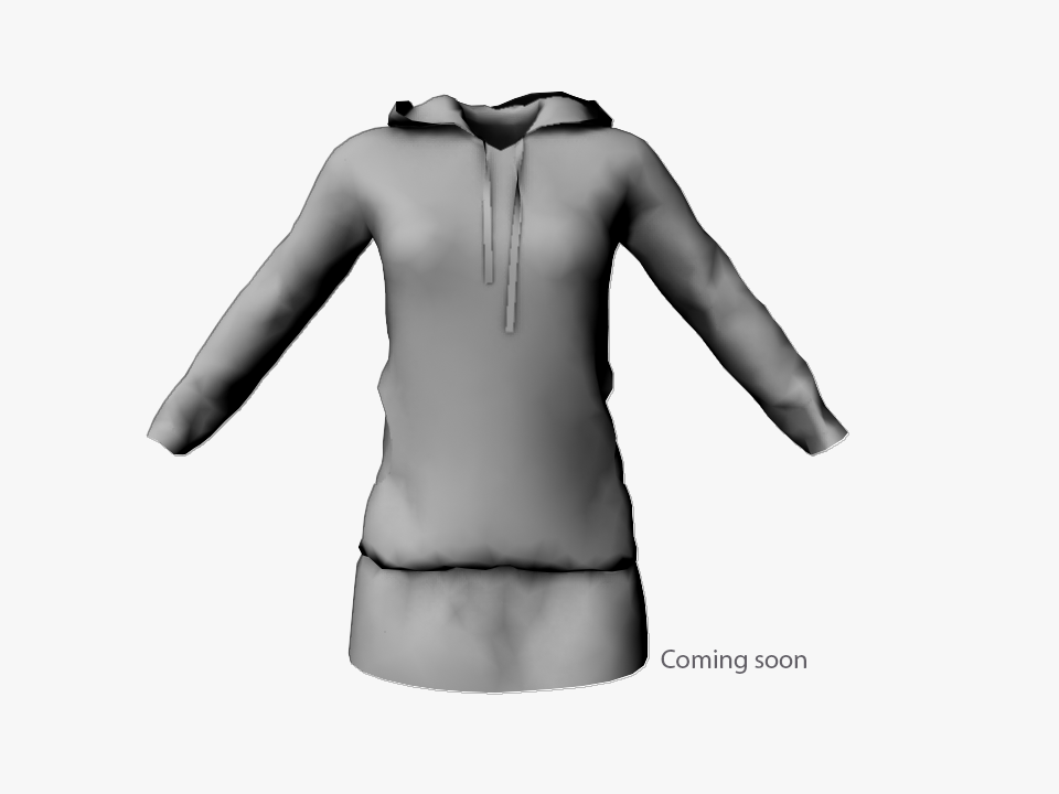 Coming soon – Ladies Hooded Sweater