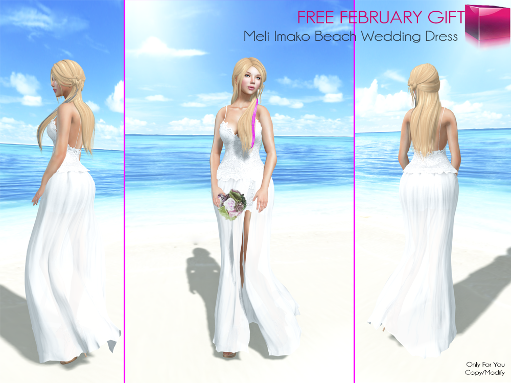 FREE February Gift – Beach Wedding Dress