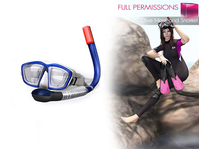 Full Perm MI Dive Mask and Snorkel