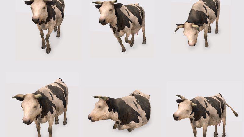 Animesh Cow