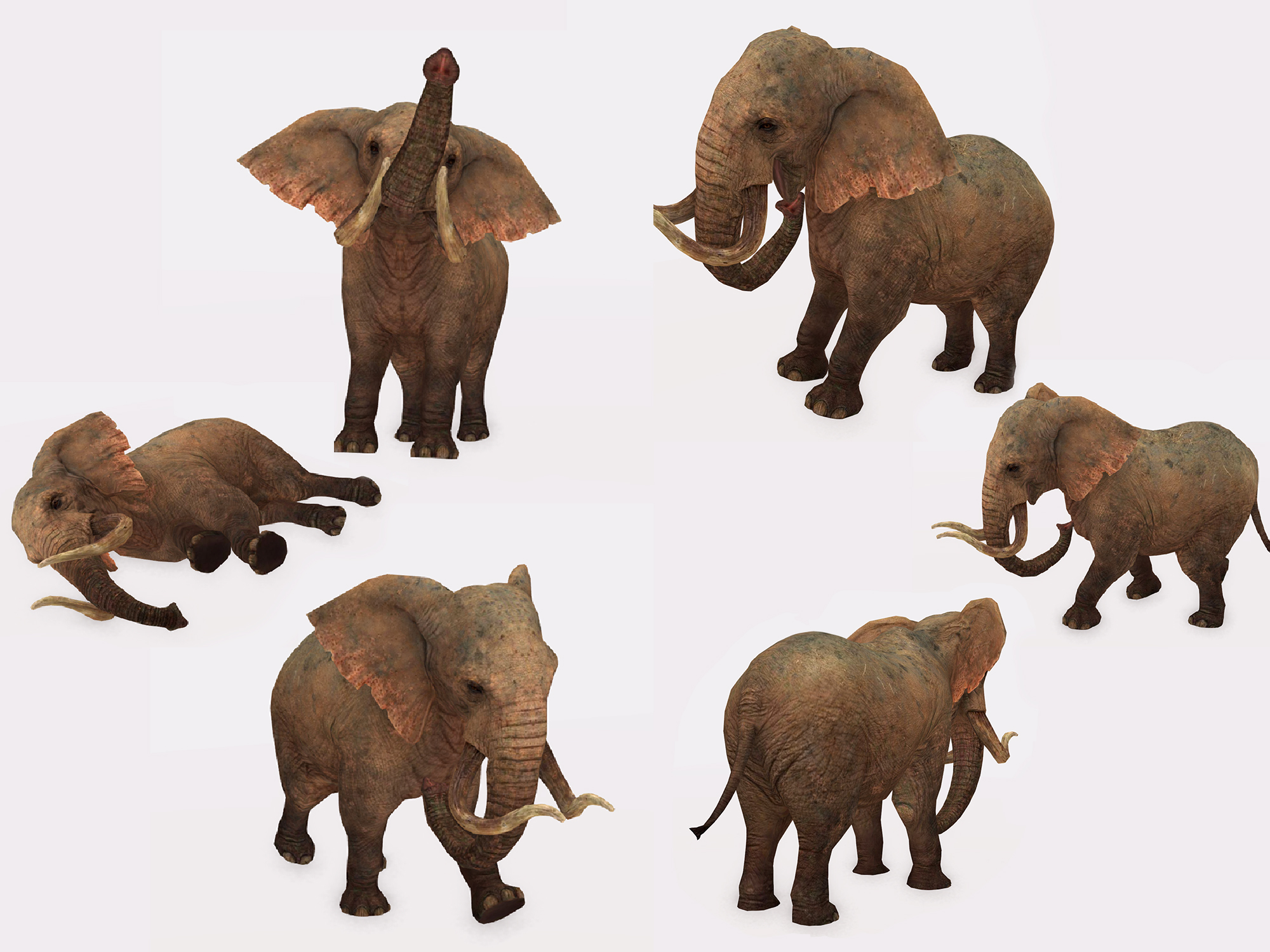Full Perm Animesh Elephant Developers Kit