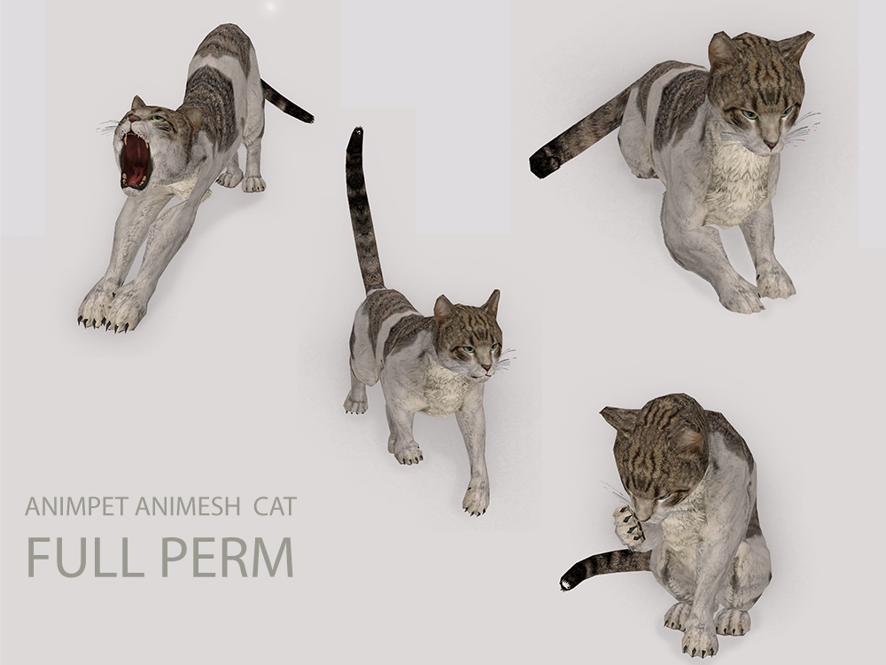 Full Perm Animesh Animated Cat