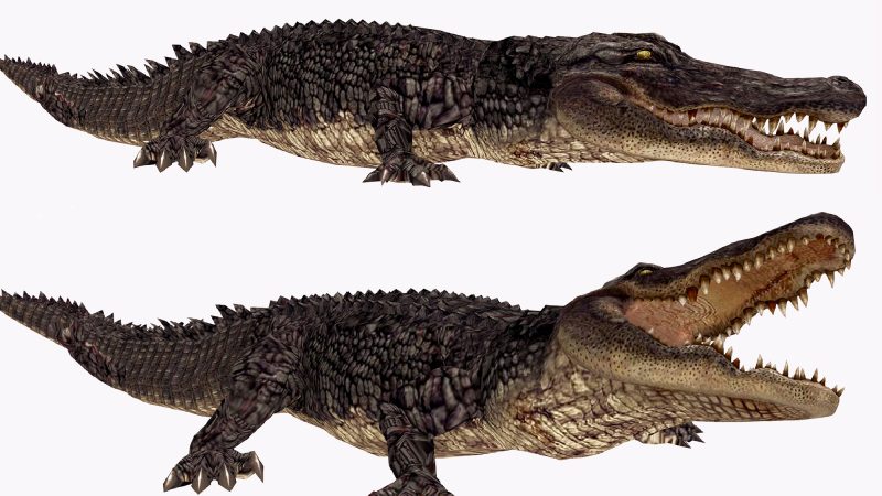 Animpet Full Perm Animesh Crocodile